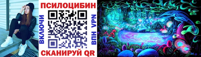 купить закладку Юрюзань Галлюциногенные грибы мухоморы